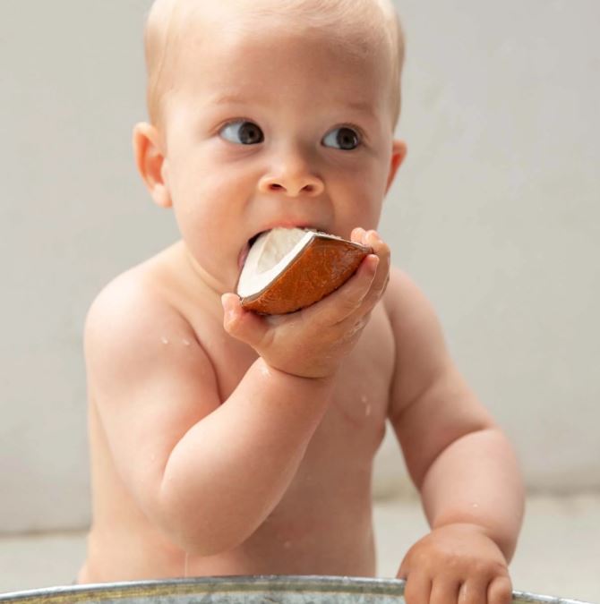 Mordedor Coco the Coconut de Oli and Carol - Imagen 2