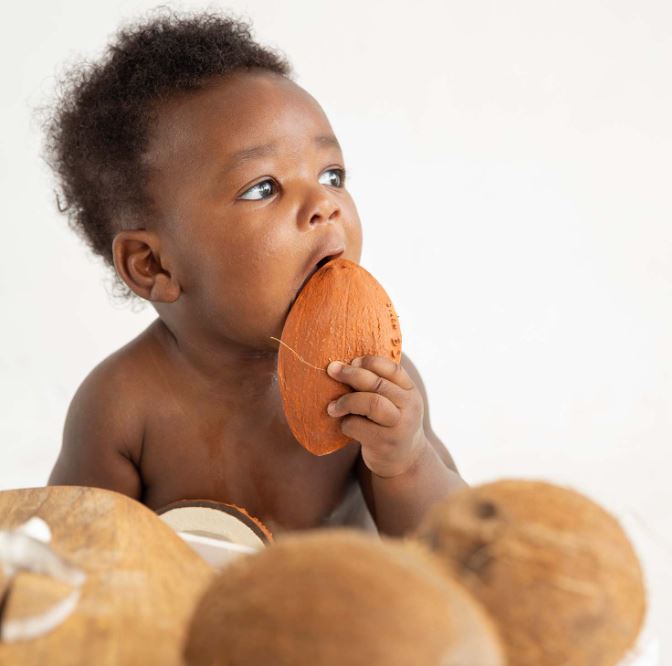 Mordedor Coco the Coconut de Oli and Carol - Imagen 4